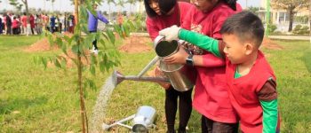 Viết một đoạn văn ngắn về phong trào trồng và bảo vệ cây xanh lớp 7 (6 Mẫu)