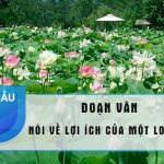 Viết một đoạn văn nói về lợi ích của một loài cây mà em biết lớp 4 hay nhất (30 Mẫu)