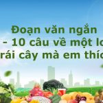 Viết một đoạn văn tả một loại quả mà em thích lớp 4 ngắn gọn, hay nhất (52 Mẫu)