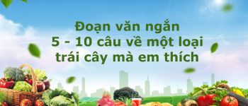 Viết một đoạn văn tả một loại quả mà em thích lớp 4 ngắn gọn, hay nhất (52 Mẫu)