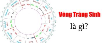 Vòng tràng sinh là gì? Làm sao để sinh con theo vòng tràng sinh?