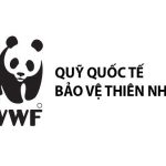 WWF là viết tắt của từ gì? Mục đích và hoạt động của WWF