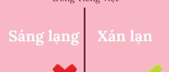 Xán lạn là gì? Sáng lạng hay xán lạn, từ nào đúng chính tả?