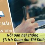 Xung đột trong đoạn trích Nỗi oan hại chồng (Trích Quan Âm Thị Kính)