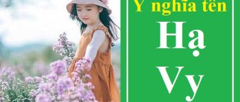 Ý nghĩa tên Hạ Vy là gì? Tên Hạ Vy theo các thứ tiếng & chữ ký