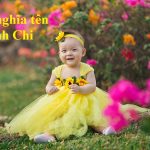 Ý nghĩa tên Linh Chi & tên nước ngoài cho tên Linh Chi siêu thú vị