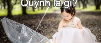 Ý nghĩa tên Ngọc Quỳnh là gì? Giải nghĩa & mẫu chữ ký cực đẹp