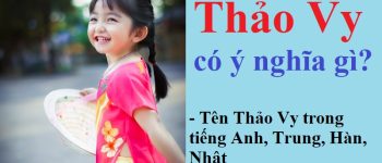 Ý nghĩa tên Thảo Vy là gì, cách viết theo tiếng nước ngoài?