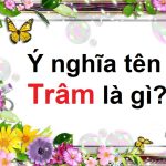 Ý nghĩa tên Trâm là gì & tên đệm cho con gái tên Trâm sang, độc