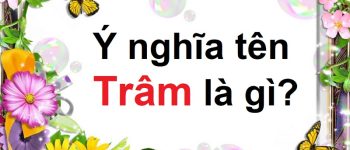 Ý nghĩa tên Trâm là gì & tên đệm cho con gái tên Trâm sang, độc